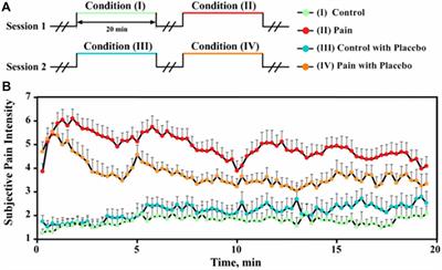 Placebo Analgesia Changes Alpha Oscillations Induced by Tonic Muscle Pain: EEG Frequency Analysis Including Data during Pain Evaluation